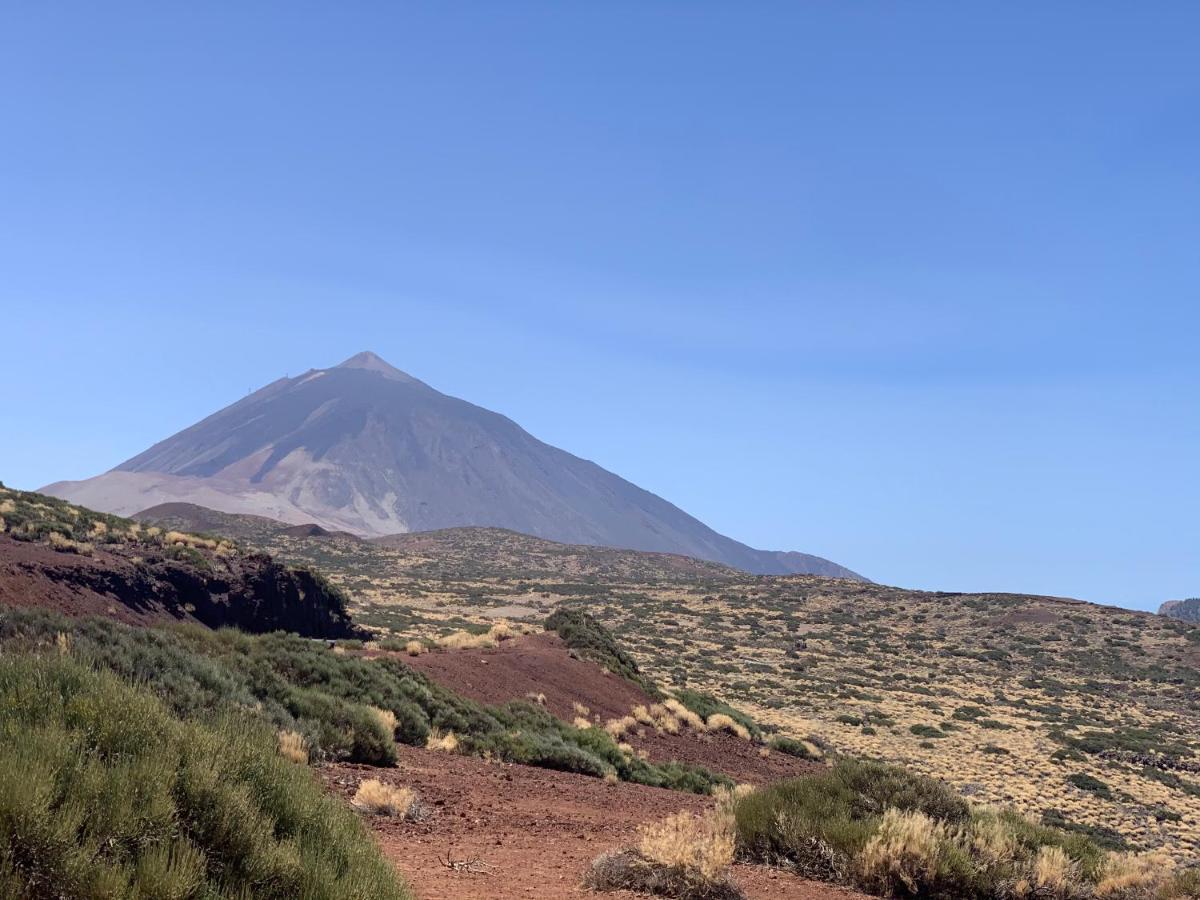Sunny Tenerife, Los Cristianos, Studio Los Cristianos  Exterior foto